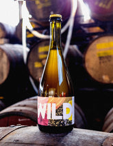 REBEL ROOT - WILD 2018 - The Cider Tap